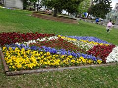 まずは、大通公園へ行きました。
色々なお花が咲いていてきれいでした。