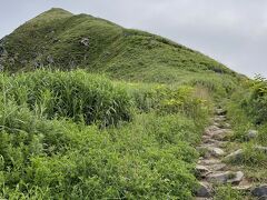 途中で急な山道に。
めちゃくちゃきつかった。。