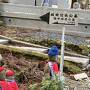 厳かな高野山、最高の桜日和の吉野山