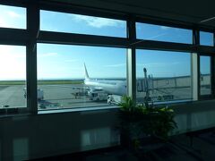 こちらは大分空港の風景
東京行のJAL機