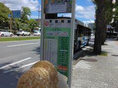 熊本駅から熊本城周辺を周遊してる
『しろめぐりん』っていうバスが便利だよ

けっこういろいろ停まるけど
どの区間乗っても大人１６０円なんだ