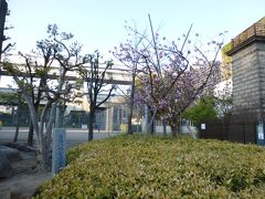 石造灯明台に向かって歩いていくとすぐそばに控えめに永大寺跡の碑がありました。富岡八幡宮の別当で江戸を代表するお寺、永代寺がありましたが、明治時代に入り、神仏分離令により廃寺となり深川公園になったようです。門前仲町という地名は永代寺の門前という事で名付けられたそうです。