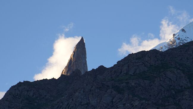 他の機会に撮った写真だが・・・<br />レディーフィンガーはこの角度から撮ると、よりレディーっぽい。