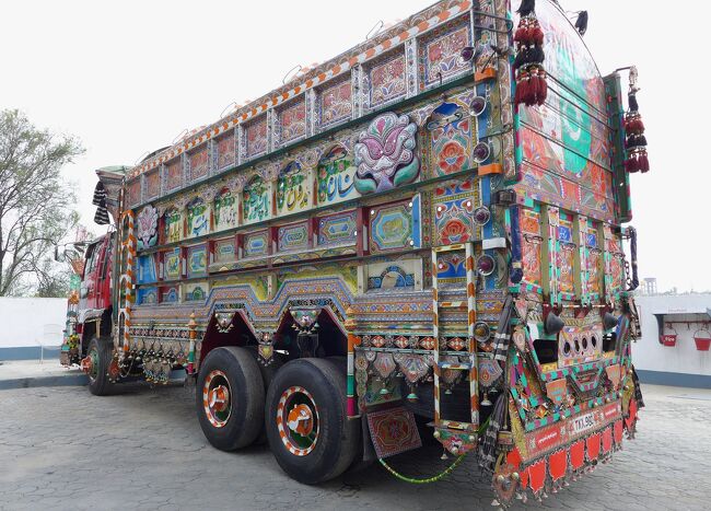 どうよ、この隙が無い雄姿！