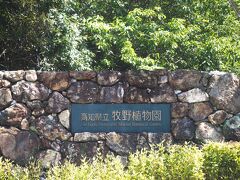 ６,７分歩いて牧野植物園の正門に着きました。途中に中門もありましたが、正式なこちらから入場。
植物分類学の父、牧野富太郎博士の偉業を記念して開園した植物園で、日本で唯一の人名を冠した植物園です。亡くなられた翌年1958年（昭和33年）に開園。五台山山頂にある広大な園地には、牧野博士ゆかりの植物はじめ、3,000種類以上の四季折々の植物が彩り、自然の中で植物を楽しむことができます。

