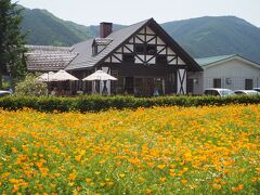 ※花農場あわのの花畑

５月なのに、外歩いてると少し汗ばんでくる