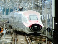 東日本乗り鉄たび3日目は盛岡駅から出発です、
07:37盛岡発、「こまち６号」の指定券を取りました