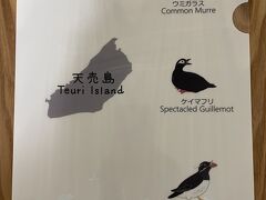 館内には島の写真の展示やグッズ販売もあり、かわいい海鳥のクリアファイルを購入しました。