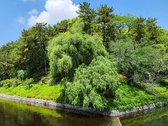 南堀（左）と東堀（右）です
ココから見る松山城もなかなかです＾＾