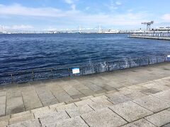 臨港パークの海沿いを、南へ向かいました。
ここはパシフィコ横浜の屋外エリアで、展示ホール群の裏手にあたります。
