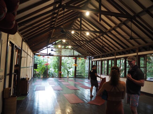 憧れのヨガスタジオで、レッスンを受けました。<br />Gentle Flow Yoga  150K Rp<br /><br />インターネットで予約を取ると、レッスン料と登録料が必要なのですが、直接出向くとレッスン料だけなので、時間がある場合は少し早めに行って直接手続きするのがおすすめです。<br />着替えの場所が２ヵ所ありました。<br /><br />やって見せるというより、口で説明するタイプのインストラクターでした。<br />BGMのせいもあって、英語の指示がよく聞き取れません。<br />教室の雰囲気を味わうためか、途中から照明が消され、他の方を見て真似しようにもよく見えないんです。<br />そんなわけで後半指示が理解できずどうしていいのか、時々よくわからなくなりましたが。<br /><br />渓谷の崖に沿って立っているので、夕やみに包まれた教室がとても幻想的でした。<br />窓が開いているので、外のお祈りの声が聞こえてきたり、教室に猫が入ってきて、そこらを歩いていたり。<br />おもしろい体験でした。