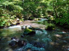 星野リゾートの横にある奥入瀬渓流館の駐車場にレンタカーを停め、レンタサイクルに乗り替えて奥入瀬渓流を観光します(^^)

電動自転車が全て出払っていて、仕方なく普通の自転車を借りたけど、滝汗流れ出る酷暑の日に、自力だけで奥入瀬渓流を上るのはヤバ過ぎました(-_-;)

現地への到着時間が読めるなら、電動自転車を事前予約しておくべきですねφ(..)

あと、「三乱の流れ」までは特筆すべきスポットは無かったように感じたので、混雑する季節でなければ、石ヶ戸休憩所を拠点とした方が余計な体力を使わずにすみますねφ(..)

初めてだから勉強になったわ…w