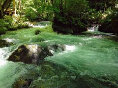 阿修羅の流れ

奥入瀬渓流の中でも最も有名な、この観光スポットまでは是が非でも辿り着きたかったので、本気で根性出しました(^^)