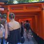 早朝の伏見稲荷神社と夕方の京都御所は欧米系観光客がほとんど☆sequenceKYOTOgojo泊