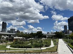 中之島公園のバラ園に来てみました～。