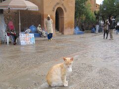 Chefchaouen
雨上がりです、中心の広場