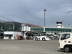 雪ミクと北海道の空を飛びました。
函館空港も沖止め。
晴れてて良かった！