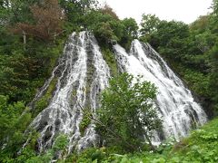 さて、本日は雨。
まずは大迫力のオシンコシンの滝を見て・・・