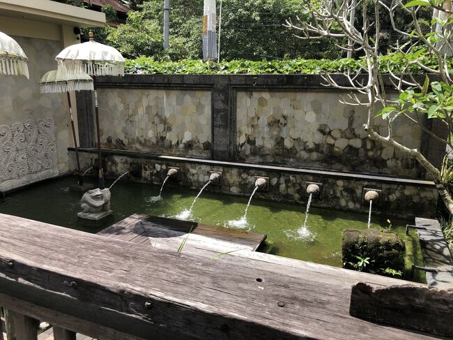 ウブド王宮近くのカフェに迎えの車が来て、ウブドトラディショナルスパまで送ってもらいます。<br />片道50000ルピアです。予約した時に往復で頼んでおきました。<br />（二人以上なら無料です。）<br /><br />リクエストしていた朝一番の時間が取れず、いくつか候補をあげてもらった中からお昼の時間（１２時から）を選びました。<br />人気で予約がとりづらいです。<br /><br />これは入口です。