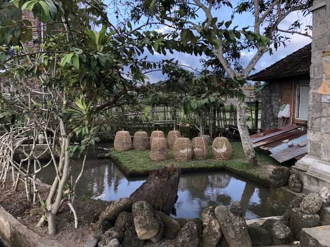 農家の庭先に、ニワトリの入ったカゴがおいてあります。