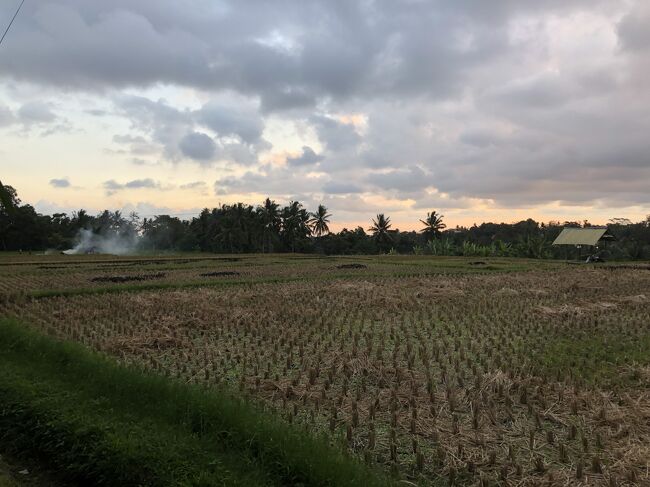 ミレーの落穂ひろいを思わせる田園風景です。<br /><br />道の脇の用水路で水浴びしている青年たち（５人くらい）がいて、目のやり場に困りました……。