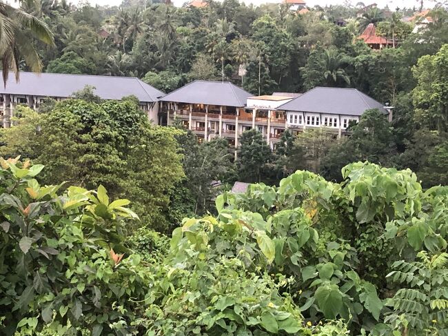 手前に谷があって谷底深く川が流れています。<br /><br />対岸にホテルが並び立っています。