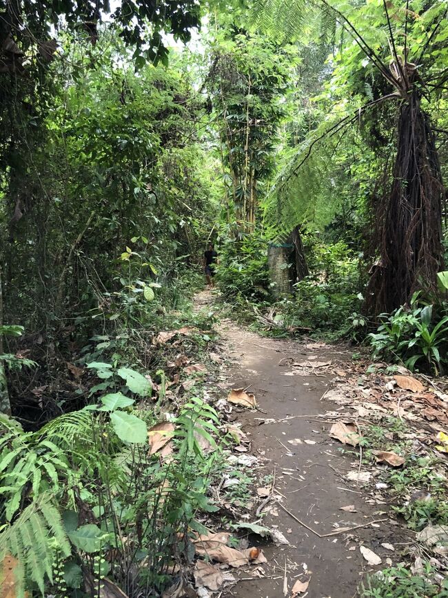 田んぼのあぜ道が途中からジャングルみたいになります。<br /><br />雨の後で路肩が弱くなって、崩れている場所もありました。<br />かなり危険です。<br /><br />この後、土手を登ろうとして転びました。<br />上のあぜ道を歩いていた白人のお兄さんに見られていて<br />「あっちにもっと登りやすいゆるやかな道があるよ」<br />と声をかけられました。<br /><br />お兄さんありがとう。