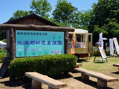 「北潟湖畔花菖蒲園」に到着～

そこでは、ほぼ地元？
アットホームな「菖蒲まつり」が
開催されてましたー