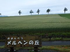 車で出発しすぐにメルヘンの丘が見えてきます。
あいにくの曇天、、今にも降りそう。
