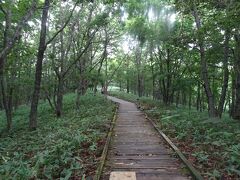 次に、釧路市湿原展望台から行ける散策路。
これは序の口。