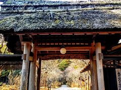 円覚寺に続いて訪れたのは１２８５年に創建された歴史ある寺院の東慶寺。円覚寺から線路を挟んだ向かい側に位置する。松岡宝蔵は有料だが、拝観自体は無料だ。こちらには後醍醐天皇の皇女の墓がある。