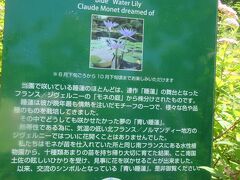 終点まで行ってみると、「モネの庭」はありました。入り口で荷物を預けて中に入ります。