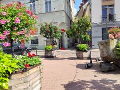 あちこちに花が。