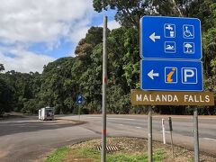 次に向かったのは、マランダ滝（Malanda Falls）です。運が良ければ、木登りカンガルーが見られるかもカモ？！