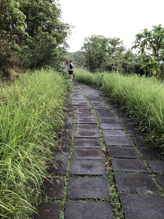 朝６時に起きて、憧れだった散歩道へ出発します。<br /><br />グーグルマップが頼りです。<br />最初の方は上りがきついのですが、だんだん平らな道になります。<br />気分爽快です。<br /><br />夜に雨が降って道が濡れています。<br />この日は１０時ごろにもザーッと雨が降りました。<br />歩いている人は比較的少なかったです。
