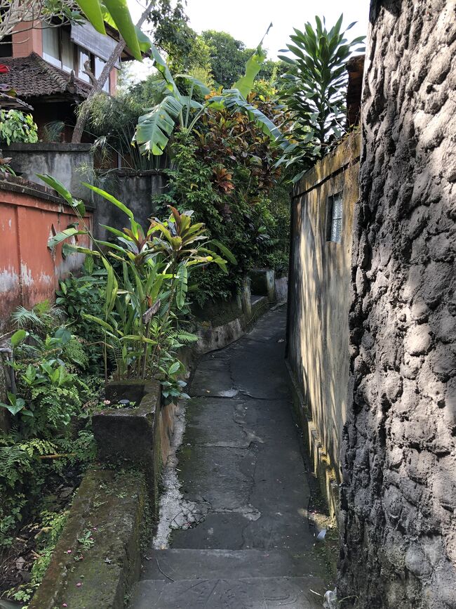 こんなところにヴィラ借りて住んだら最高だろうなあ。<br />妄想はつきません。<br /><br />ビンタンマーケット前からグラブのバイクを呼んで宿まで戻ります。<br />