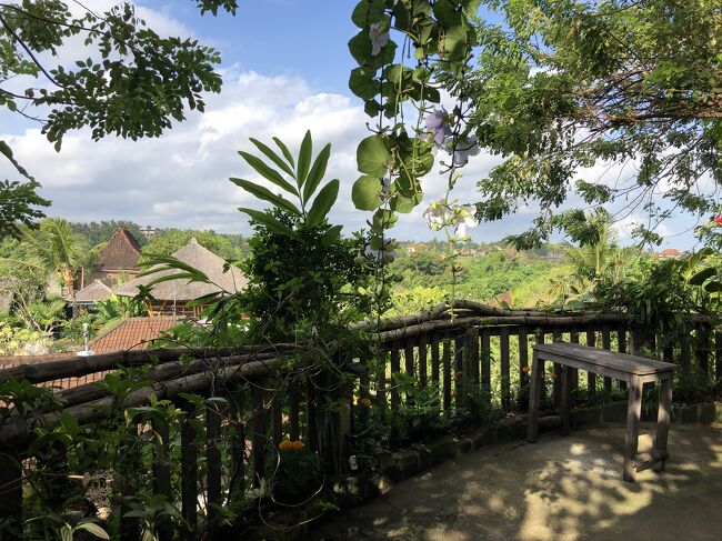 イエローフラワーカフェの前あたりからの眺めです。