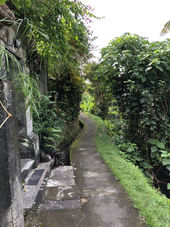 ペネスタナンの道をビンタンマーケットまで下ります。<br />グーグルマップ大活躍です。<br /><br />