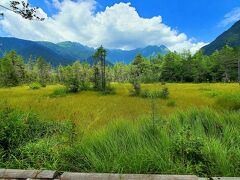 目の前に広がる湿原！