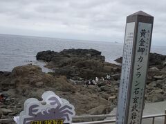 黄金岬
夕日の名所です。朝の曇天という最低の組み合わせ。