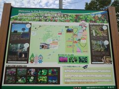 　今度は丸瀬布いこいの森を散策してみます！