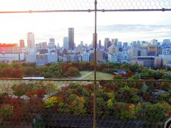 そして遂に登り、
その天守閣から見た西の丸庭園