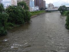 北上川。この日は天気が悪く、川の水かさも増していました。