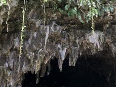 次は、ガンガラーの谷へ。

洞窟の入口となるケイブカフェで、バスガイドさんから専門ガイドさんへ交代となりました。全長約1km・所要時間80分。ガイドツアーで巡るコースのみで個人で入ることはできません。
ケイブカフェから入場して、出口は別の場所です。

