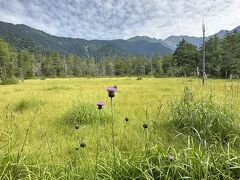 大正池～田代湿原　徒歩25分　約1.2㎞