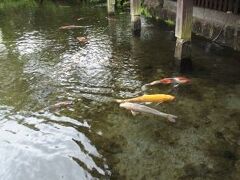 湧水庭園「四明荘」