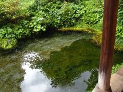 四明荘と並んで見どころとなっているのがしまばら水屋敷。こちらには湧水の大きな池を有した庭園があります。