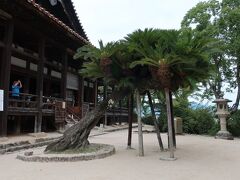 豊国神社(千畳閣)