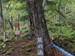 「熊の湯」

お湯がいいそうな
北海道の秘湯で、「目隠し」が完備されているところは是非行きたい