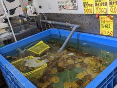 三日目：10/10（月）

雨
そして、「悪天候為イベント中止」のメールが入った

うっそー！！
・・・・・・・・・・・予定なくなっちゃったよ
することないので、飛行機の時間までお土産でも買って時間を潰すことにした
息子Aにはここで、ばいばい